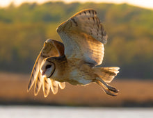 Load image into Gallery viewer, 2026 Southern Maryland Calendars 10 for $150
