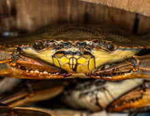 Load image into Gallery viewer, 2026 Southern Maryland Calendar 1 for $20
