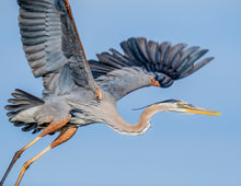 Load image into Gallery viewer, 2026 Southern Maryland Calendars 10 for $150
