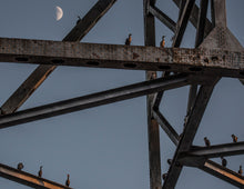 Load image into Gallery viewer, 2026 Southern Maryland Calendars 3 for $50
