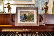 Load image into Gallery viewer, Crab Basket 11&quot;x14&quot;
