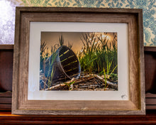 Load image into Gallery viewer, Crab Basket 11&quot;x14&quot;
