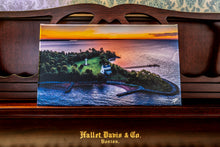 Load image into Gallery viewer, St. Clement&#39;s Island 8&quot;x14&quot; Canvas

