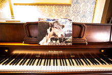 Load image into Gallery viewer, Hereford 12&quot;x16&quot; Canvas Print
