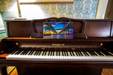 Load image into Gallery viewer, Harry Nice Bridge (2 Spans) 8&quot;x14&quot; Canvas Print
