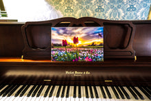 Load image into Gallery viewer, Tulip Sunset 8&quot;x12&quot; Canvas Print
