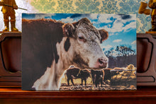 Load image into Gallery viewer, Hereford Eye Contact 12&quot;x18&quot; Canvas
